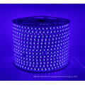 100m AC110V/220V led strip tube